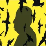 My Name Is Alfred Hitcock movie review