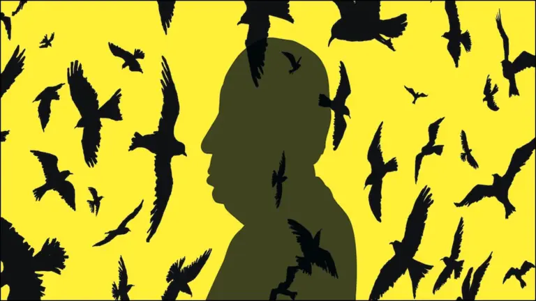 My Name Is Alfred Hitcock movie review