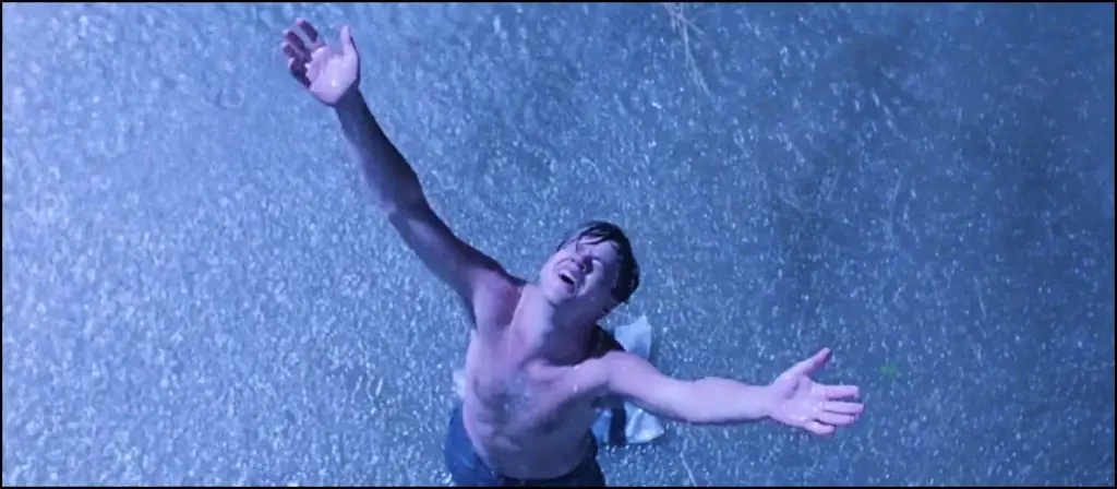 Best Movies With Worst Box Office (and Insights From Letterboxd Users)
